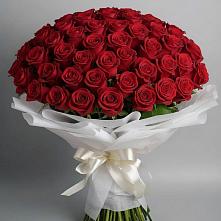 Букет 101 Красная роза Блэк Мэджик в Зубово Республика Башкортостан