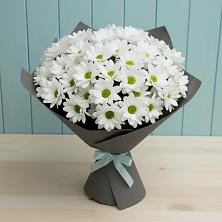 Букет цветов из:  Хризантемы в Зубово Республика Башкортостан