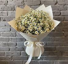 Букет цветов из:  Ромашки в Зубово Республика Башкортостан