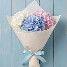 Букет цветов из:  Гортензия в Зубово Республика Башкортостан