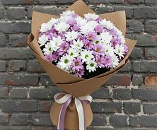 Букет цветов из:  Хризантемы в Зубово Республика Башкортостан