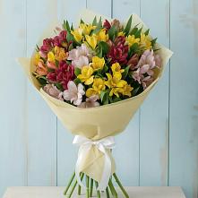 Букет цветов из:  Альстромерии #REPLACE_PRED# Зубово Республика Башкортостан