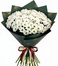 Букет цветов из:  Хризантемы в Зубово Республика Башкортостан