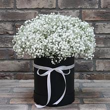 Цветочная композиция из Гипсофила в шляпной коробке в Зубово Республика Башкортостан