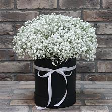 Цветочная композиция из Гипсофила в шляпной коробке в Зубово Республика Башкортостан