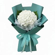 Букет цветов из:  Гортензия в Зубово Республика Башкортостан